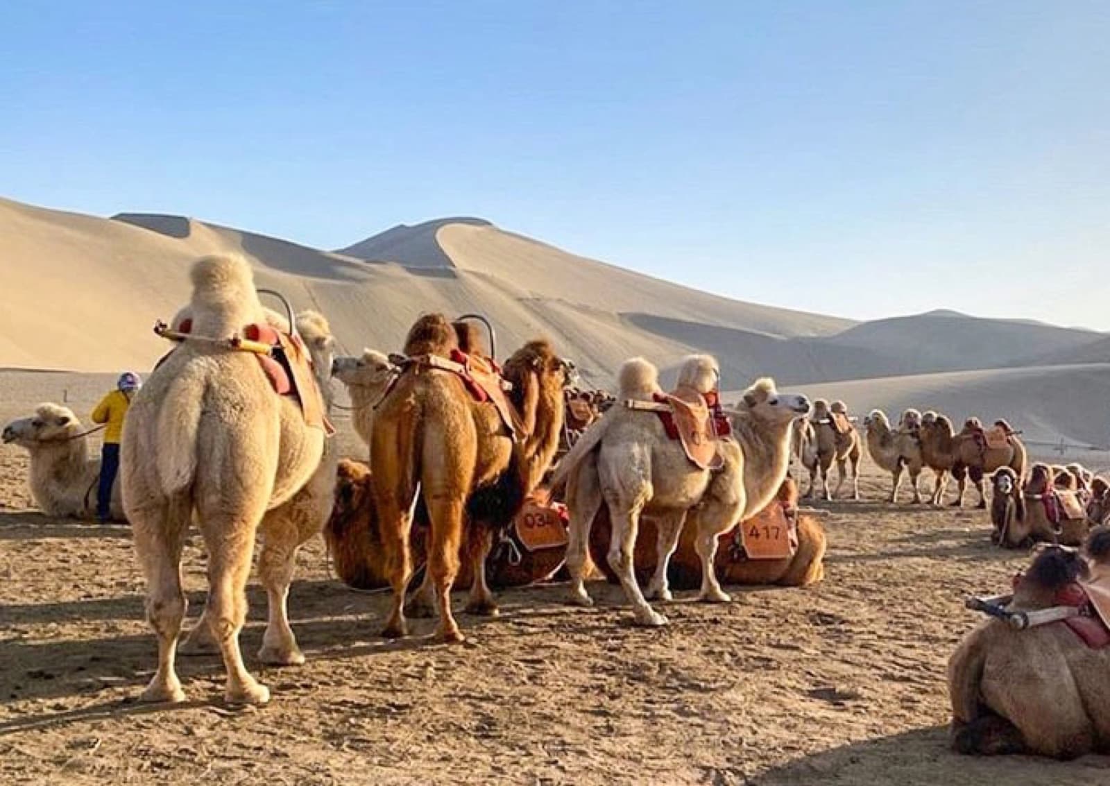 Silk Road Trips main view