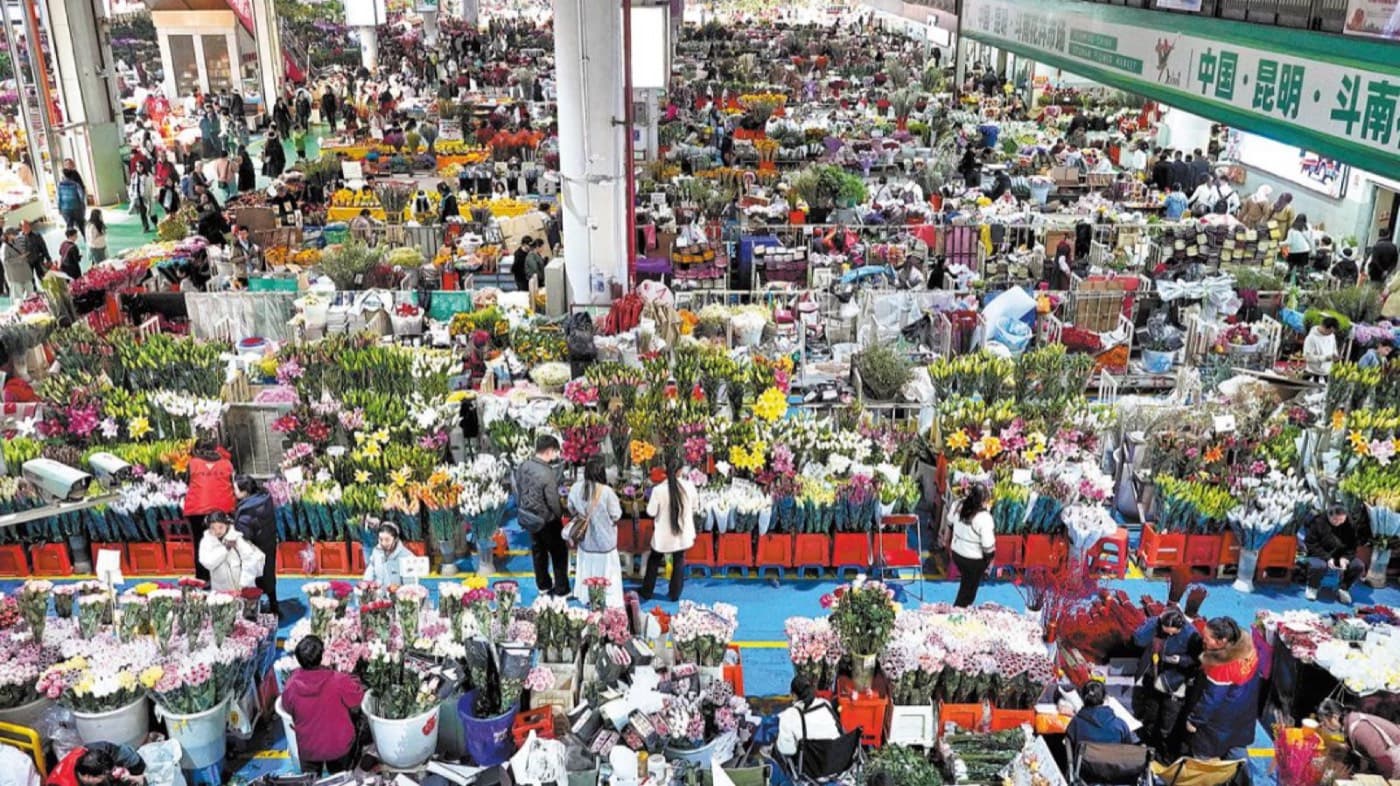斗南花市場
